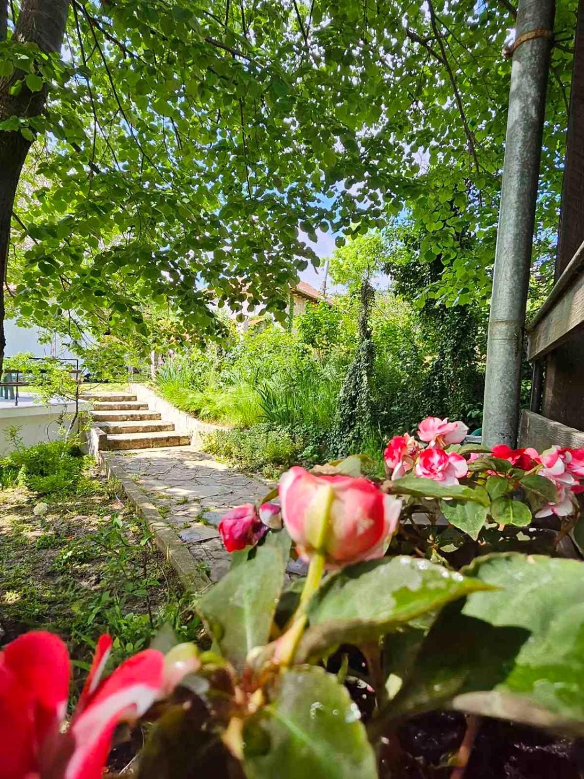 Orehite-Family Hotel ,Food & Pool Bozsicsen Kültér fotó